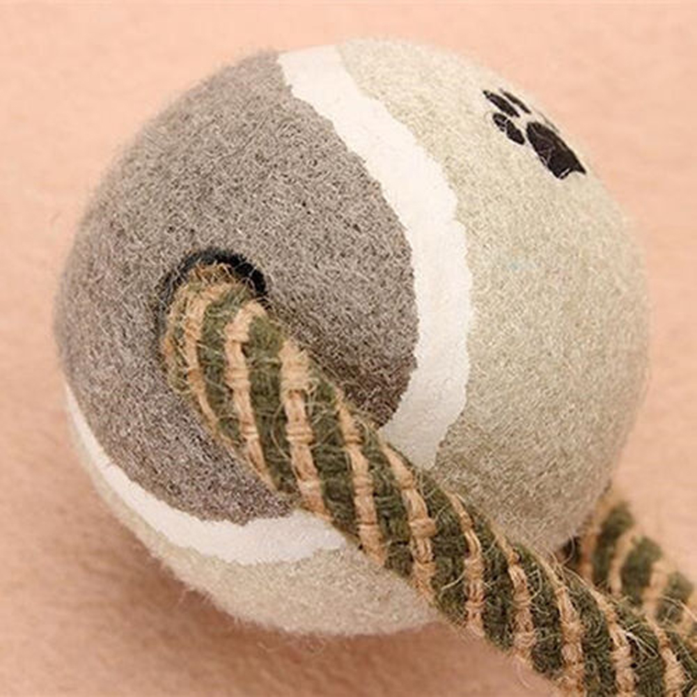 Best Selling Products Tennis Ball Dumbbell Chew Dog Toys for Small to Medium Dogs