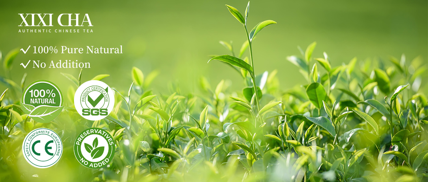 XIXICHA TEA