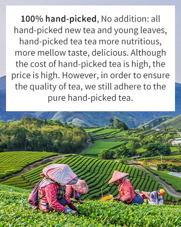 oolong tea